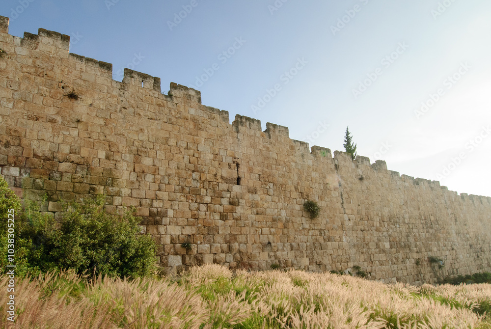 Fototapeta premium A section of the stone ramparts and walls of the Old City of Jerusalem, in springtime with grass, flowers and olive trees.