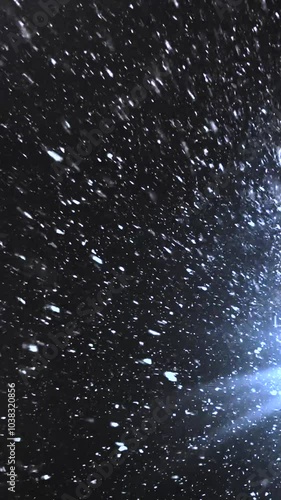 Real snow falls on camera. Falling snow. Heavy snowfall video. Winter fairy tale atmosphere