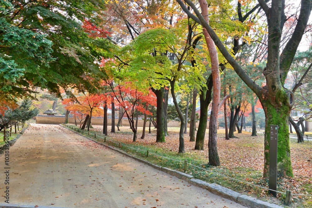 Naklejka premium 조선시대 종묘의 가을 풍경