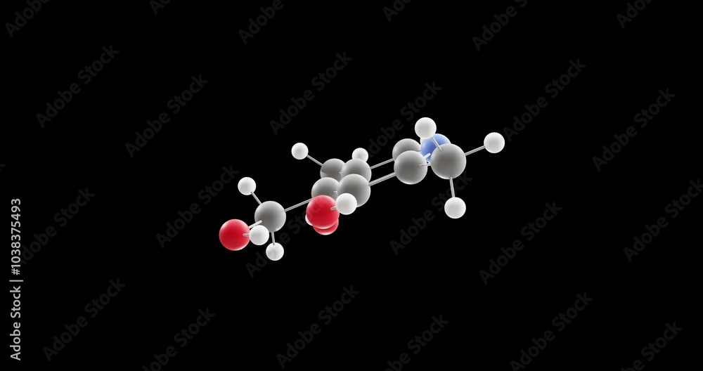 Pyridoxine molecule, rotating 3D model of vitamin b6, looped video on a black background Pyridoxine molecule, rotating 3D model of vitamin b6, looped video on a black background