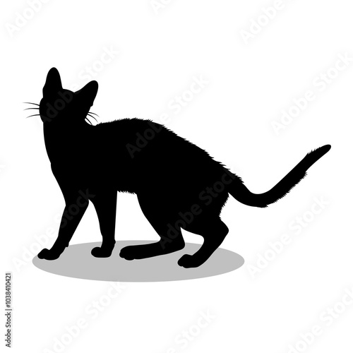 Cat silhouette illustration Design Cat silhouette icon