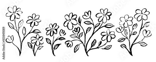 Hand drawn plants, flowers. Black and white, monochrome simple botanical silhouettes.