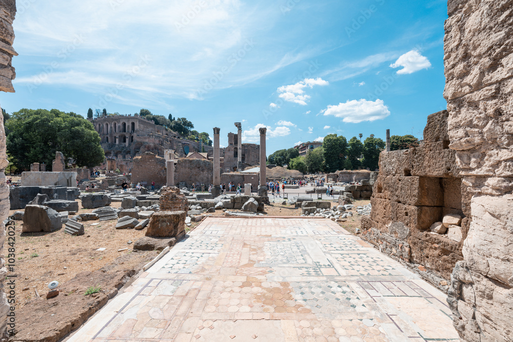 Fototapeta premium architecture, ancient heritage of Roman forum