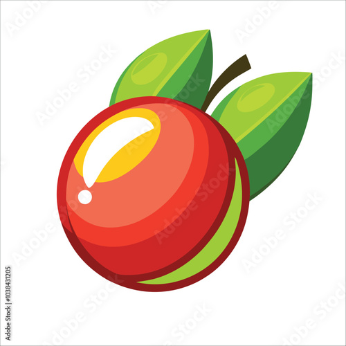 vector illustration of an miracle fruit