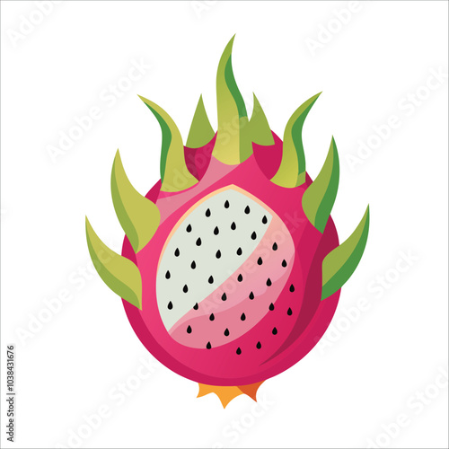 vector illustration of a pitaya dragon