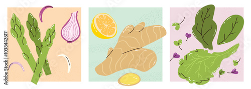 Food illustration poster set. A collection of 3 delicious and fresh mixed salad,ginger, lemon, asparagus. Vector, hand drawn illustrations. foodstuff stamp, a postcard, an ad, a recipe 