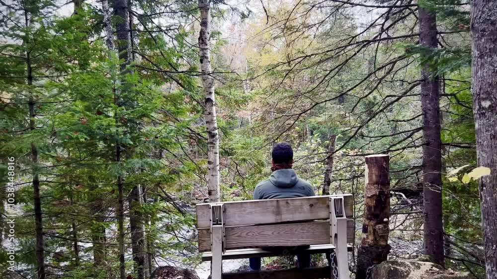 Man Relaxing on a Wooden Bench in a Forest Man Relaxing on a Wooden Bench in a Forest