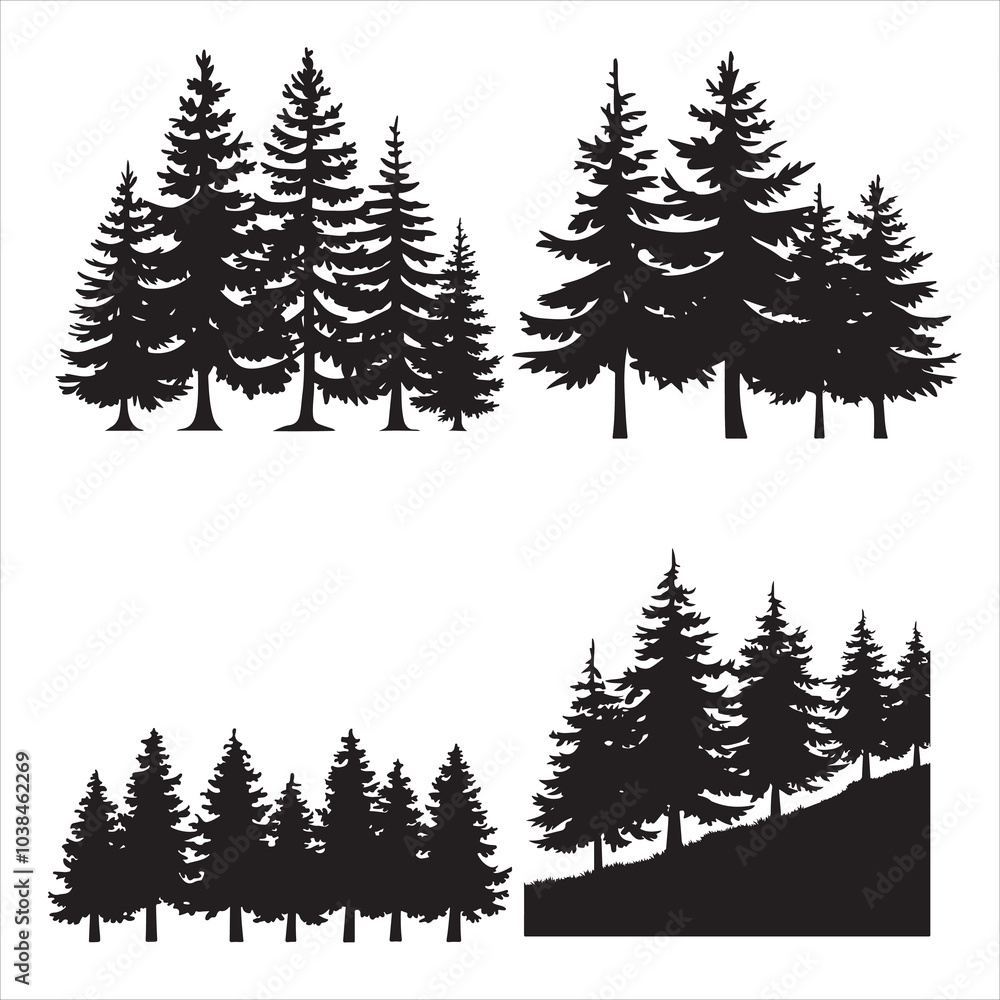 Fototapeta premium evergreen trees silhouette