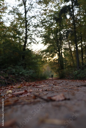 autumn asphalt road covered with golden leaves and a runner in the background