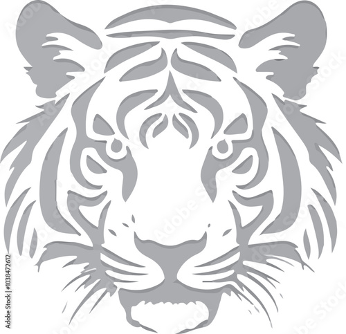 Tiger, Tiger head, New tiger, tiger 2024, tigers