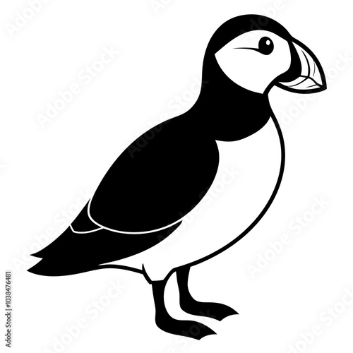 puffin  on white background