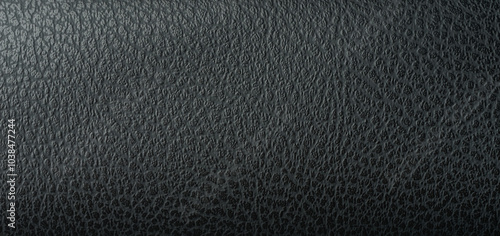 Wallpaper Mural Rough black leather texture pattern Torontodigital.ca