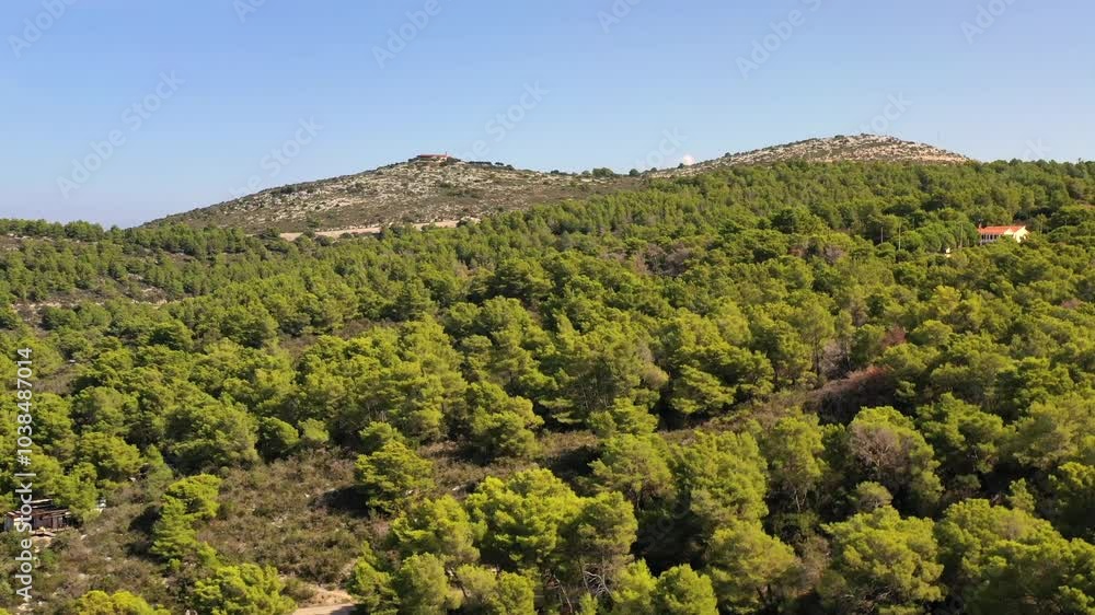 Trees above Hvar, Croatia Trees above Hvar, Croatia