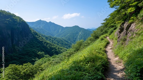 Scenic mountain trail surrounded by lush greenery and distant peaks.