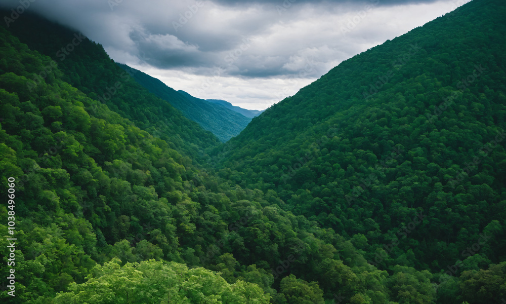 Obraz premium 짙은 안개에 가려진 신비로운 산 풍경 멋진 봉우리 풍경