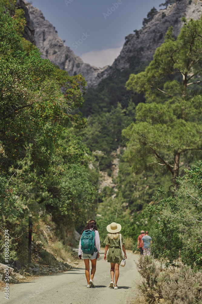 Two women hike through Goynuk Canyon in Turkey, surrounded by lush forests and towering mountains. Ideal for promoting eco-tourism, hiking trails, and adventure travel in natural landscapes. Two women hike through Goynuk Canyon in Turkey, surrounded by lush forests and towering mountains. Ideal for promoting eco-tourism, hiking trails, and adventure travel in natural landscapes.