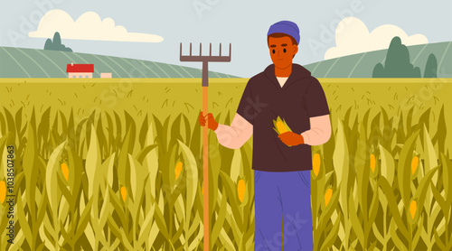 Man harvesting corn. Male farmer crop vegetables, organic food production flat vector background illustration. Farmland harvesting scene