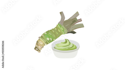 Japanese wasabi root with a cup of wasabi paste vector illustration. Horseradish. wasabi root for Japanese food.