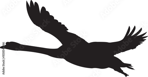 The silhouette of flying swan vector art