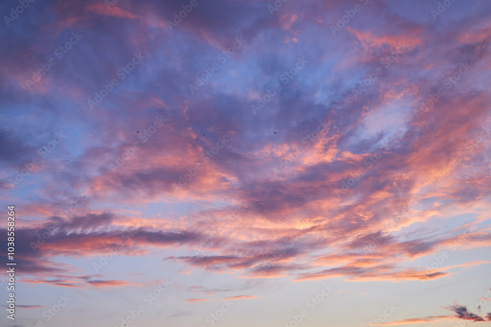 Colorful Sunset Clouds in a Tranquil Sky Colorful Sunset Clouds in a Tranquil Sky