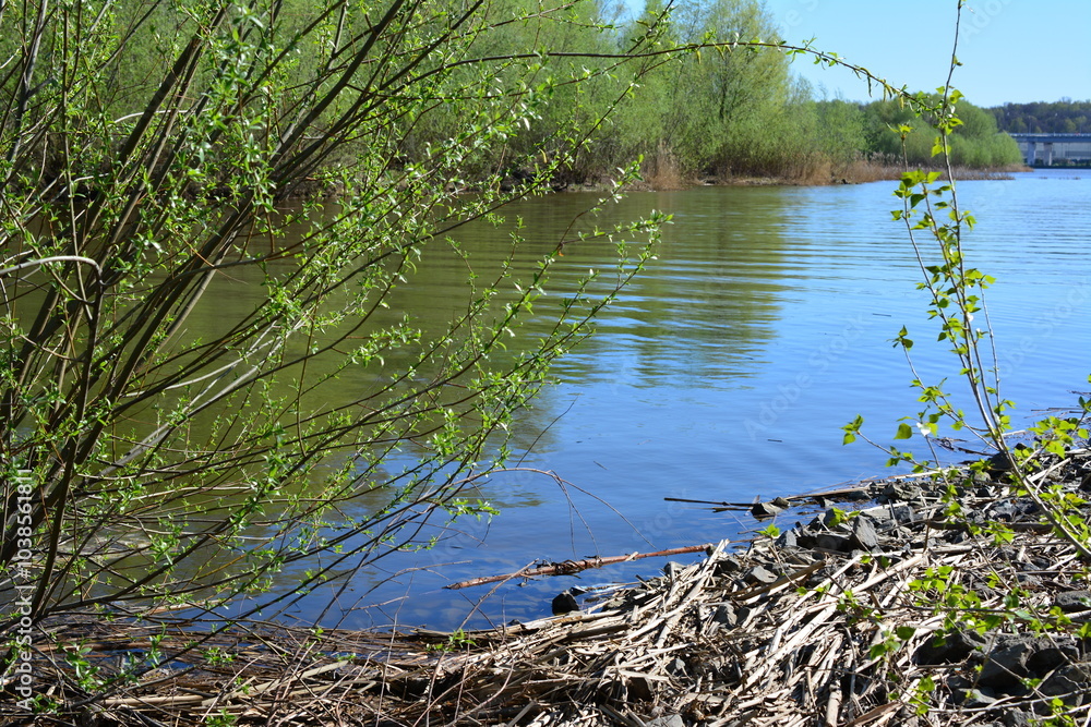 Obraz premium a river with green trees and a tree branch on the foreground