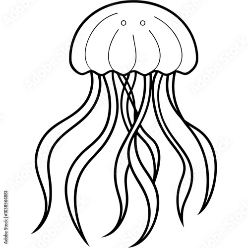  Jellyfish