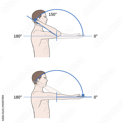 팔꿈치 관절 정상 운동 범위 일러스트