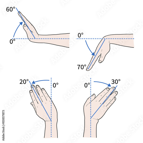 손목 관절 정상 운동 범위 일러스트