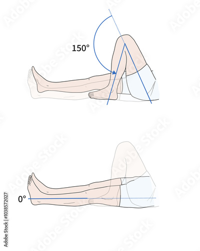 무릎 관절 정상 운동 범위 일러스트
