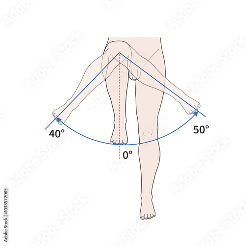 고관절 관절 정상 운동 범위 일러스트 photo