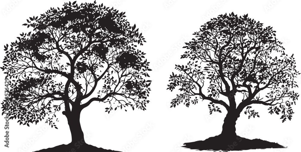 black and white tree black oak tree isolated on white background.tree silhouette vector illustrations.tree sihlouette vector art design.Printable tree graphic design file 6 black and white tree black oak tree isolated on white background.tree silhouette vector illustrations.tree sihlouette vector art design.Printable tree graphic design file 6