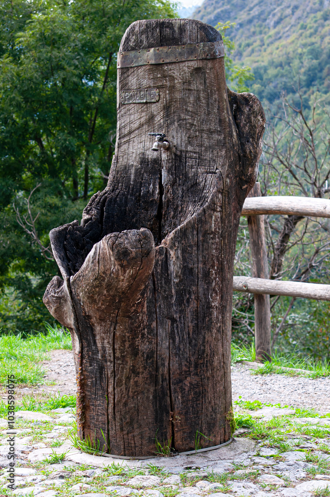 fountain in a tree trunk with drinking water in a public park in Italy fountain in a tree trunk with drinking water in a public park in Italy