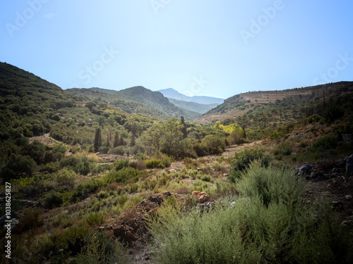 Landscape in the Mountains
