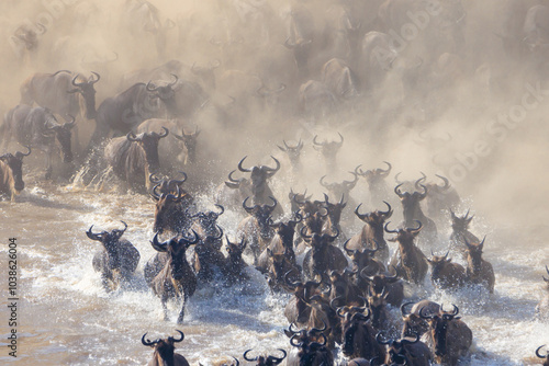 Wallpaper Mural Dust and animals Torontodigital.ca