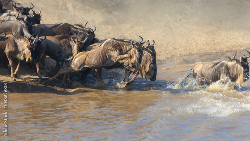 Wallpaper Mural Great Migration Serengeti Torontodigital.ca