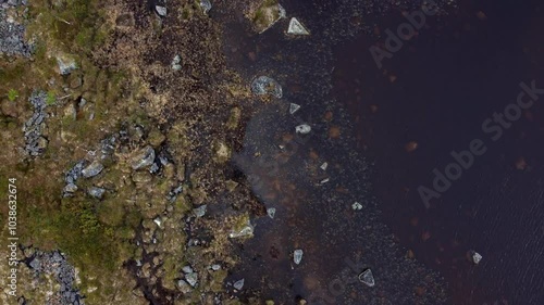 High arctic vegetation and lake drone video