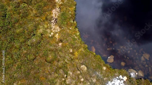 High arctic vegetation and lake drone video