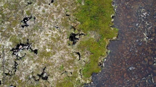 High arctic vegetation and lake drone video