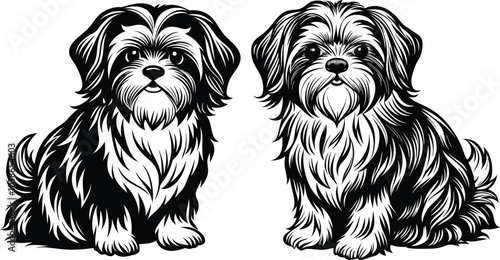 Shih Tzu poses a Charming vector silhouette Dog Design