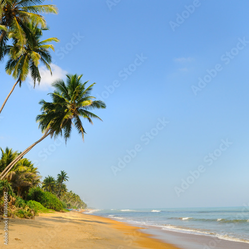 Tropical landscape of summer scene, sea waves. Sunny, sand, sky and palm trees. Luxury travel vacation destination.