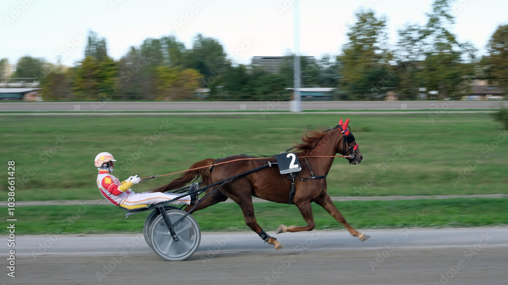 Racing horses trots and rider on a track of stadium. Competitions for trotting horse racing. Horses compete in harness racing. Horse runing at the track with rider.
Racing horses trots and rider on a track of stadium. Competitions for trotting horse racing. Horses compete in harness racing. Horse runing at the track with rider.