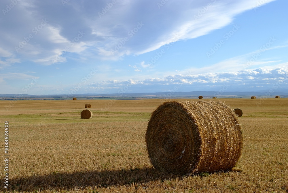 hay bales in the field, mountains, Canadian Rockies, Alberta, Nature, Fall hay bales in the field, mountains, Canadian Rockies, Alberta, Nature, Fall