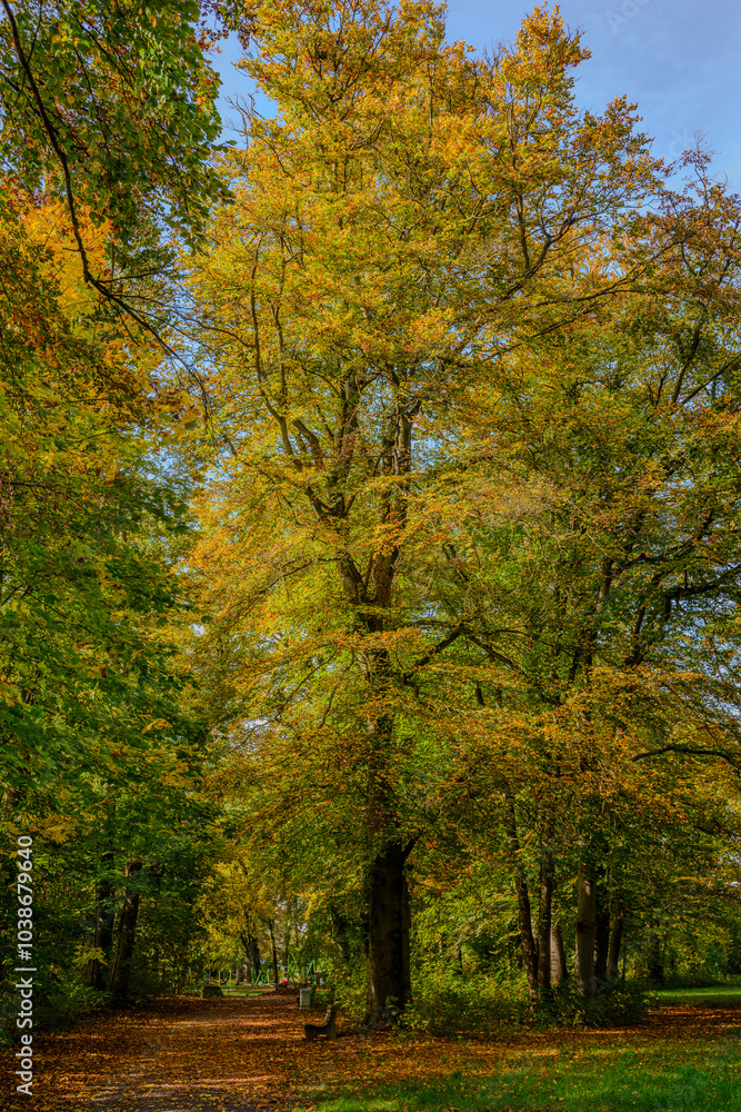 Eine Wanderung durch den Stadtpark Straubing Eine Wanderung durch den Stadtpark Straubing