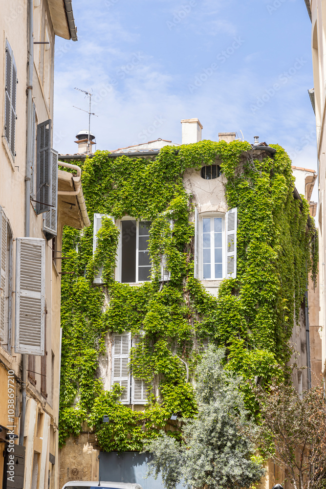 Building with windows and shutters overgrown with green ivy climbing plants in Aix-en-Provence in the South of France Building with windows and shutters overgrown with green ivy climbing plants in Aix-en-Provence in the South of France