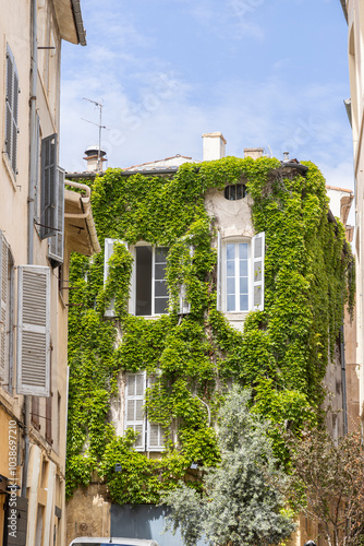 Building with windows and shutters overgrown with green ivy climbing plants in Aix-en-Provence in the South of France