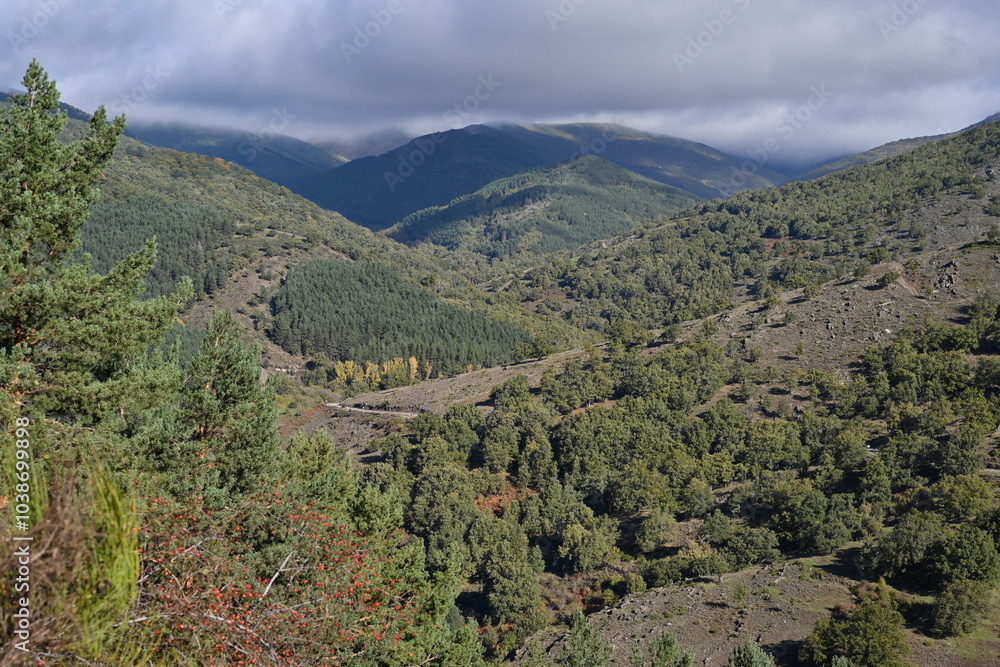 Sierra del Rincón , de setas Sierra del Rincón , de setas