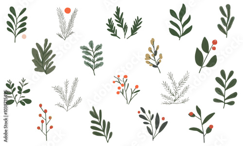 Hello winter. Set of vector cute illustrations of trees, branches, leaves pine branches, mistletoe, botany, christmas winter set