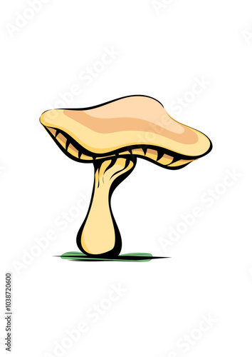 Pilz