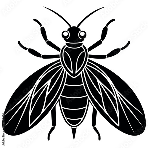 Insect silhouette image vector illustration.
