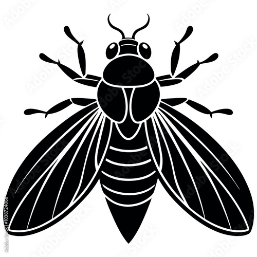 Insect silhouette image vector illustration.
